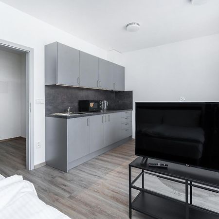 Apartman V Podebradech Poděbrady エクステリア 写真
