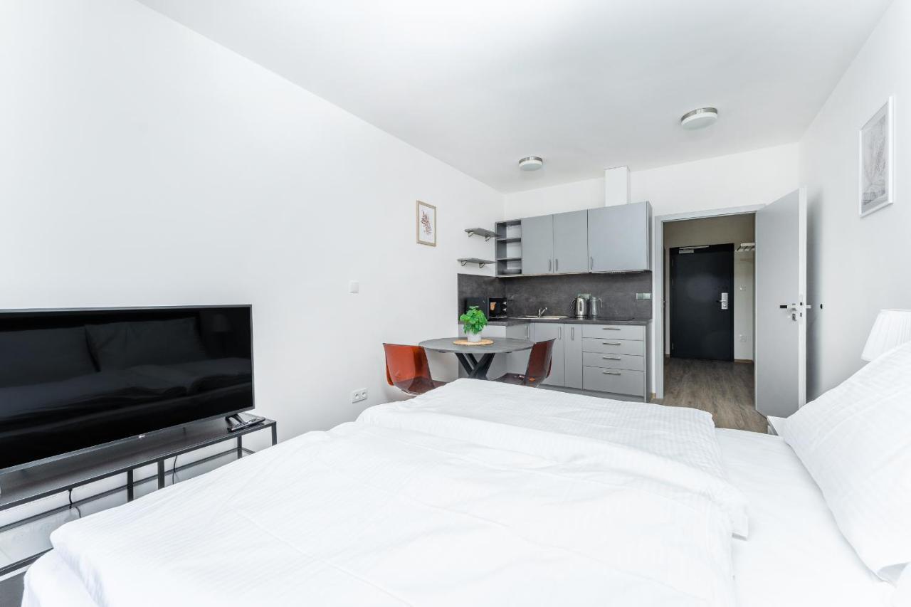 Apartman V Podebradech Poděbrady エクステリア 写真