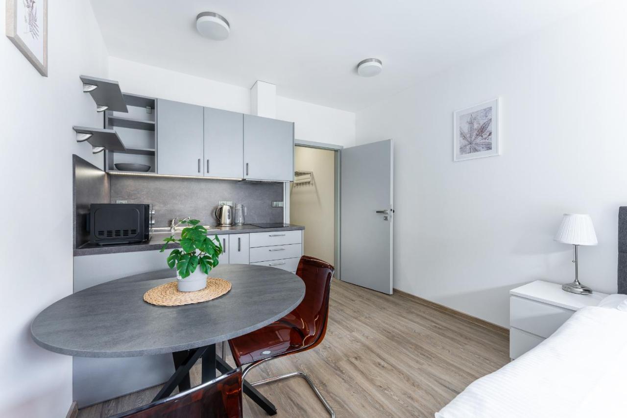 Apartman V Podebradech Poděbrady エクステリア 写真