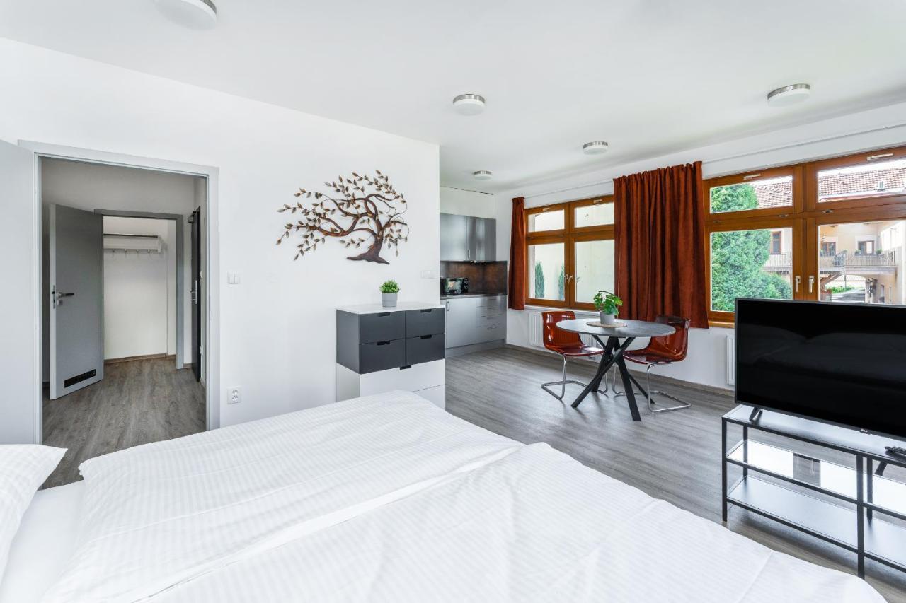 Apartman V Podebradech Poděbrady エクステリア 写真