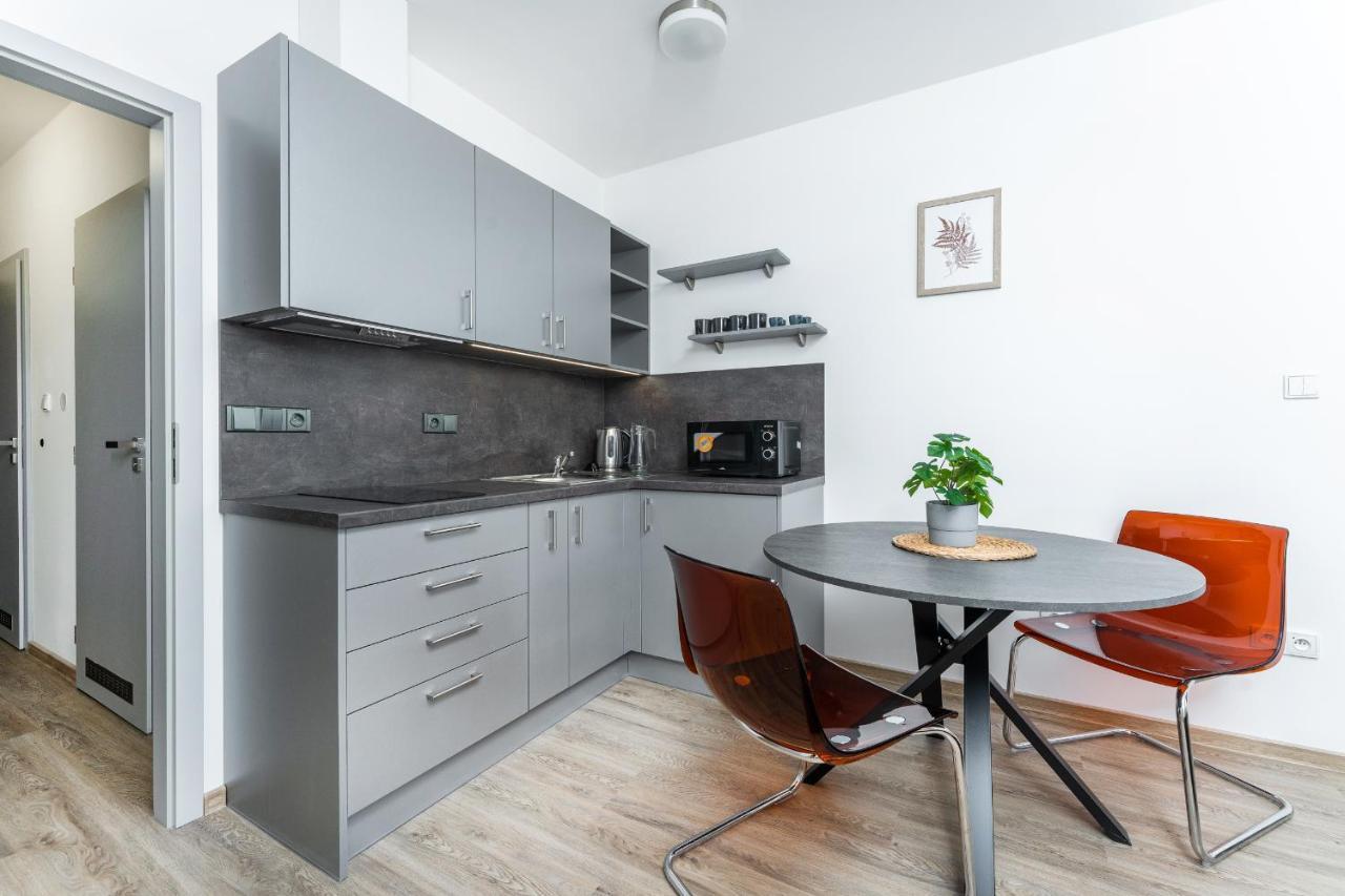 Apartman V Podebradech Poděbrady エクステリア 写真