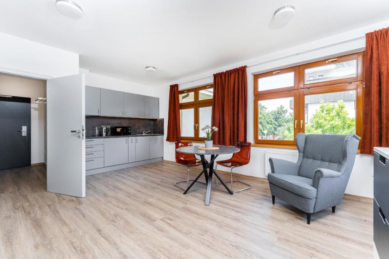 Apartman V Podebradech Poděbrady エクステリア 写真