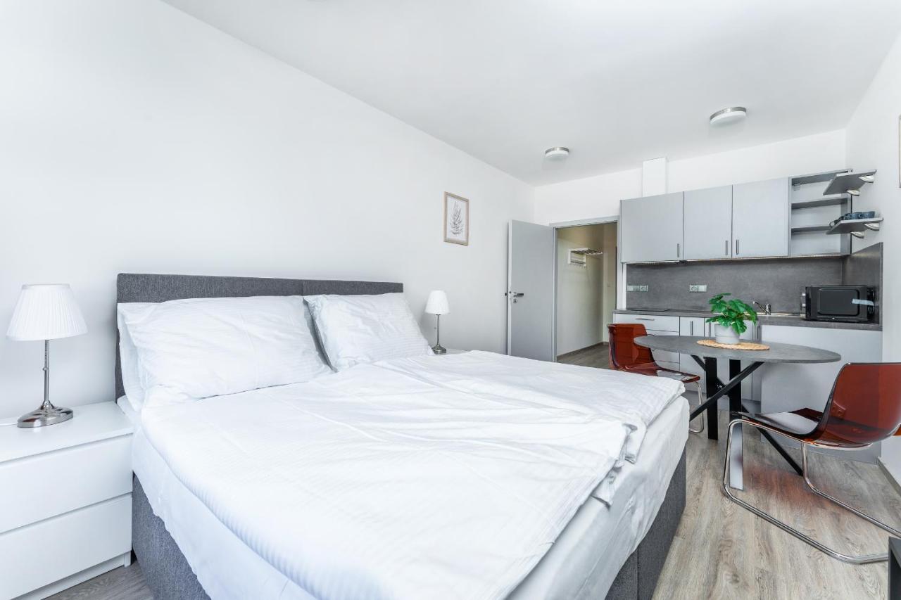 Apartman V Podebradech Poděbrady エクステリア 写真