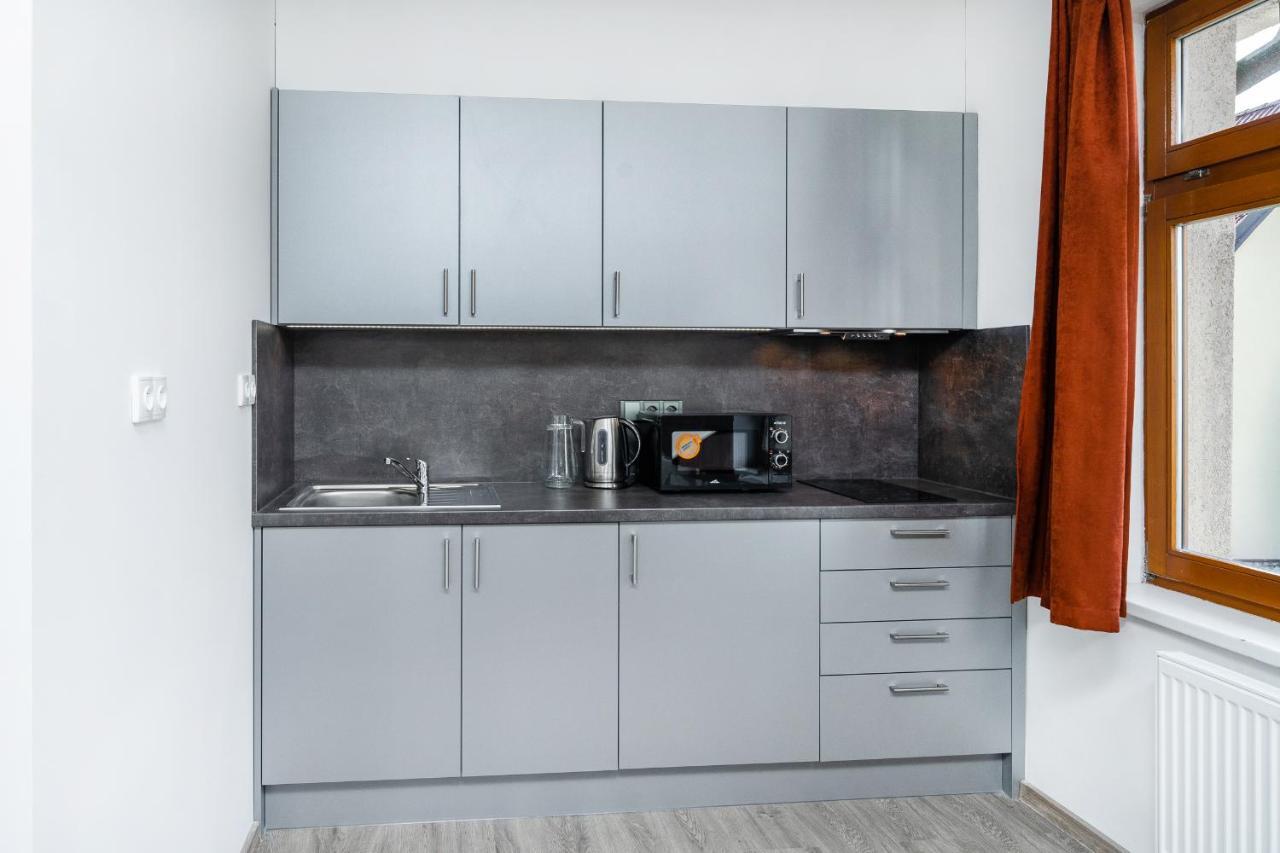 Apartman V Podebradech Poděbrady エクステリア 写真