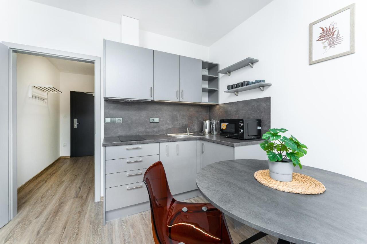 Apartman V Podebradech Poděbrady エクステリア 写真
