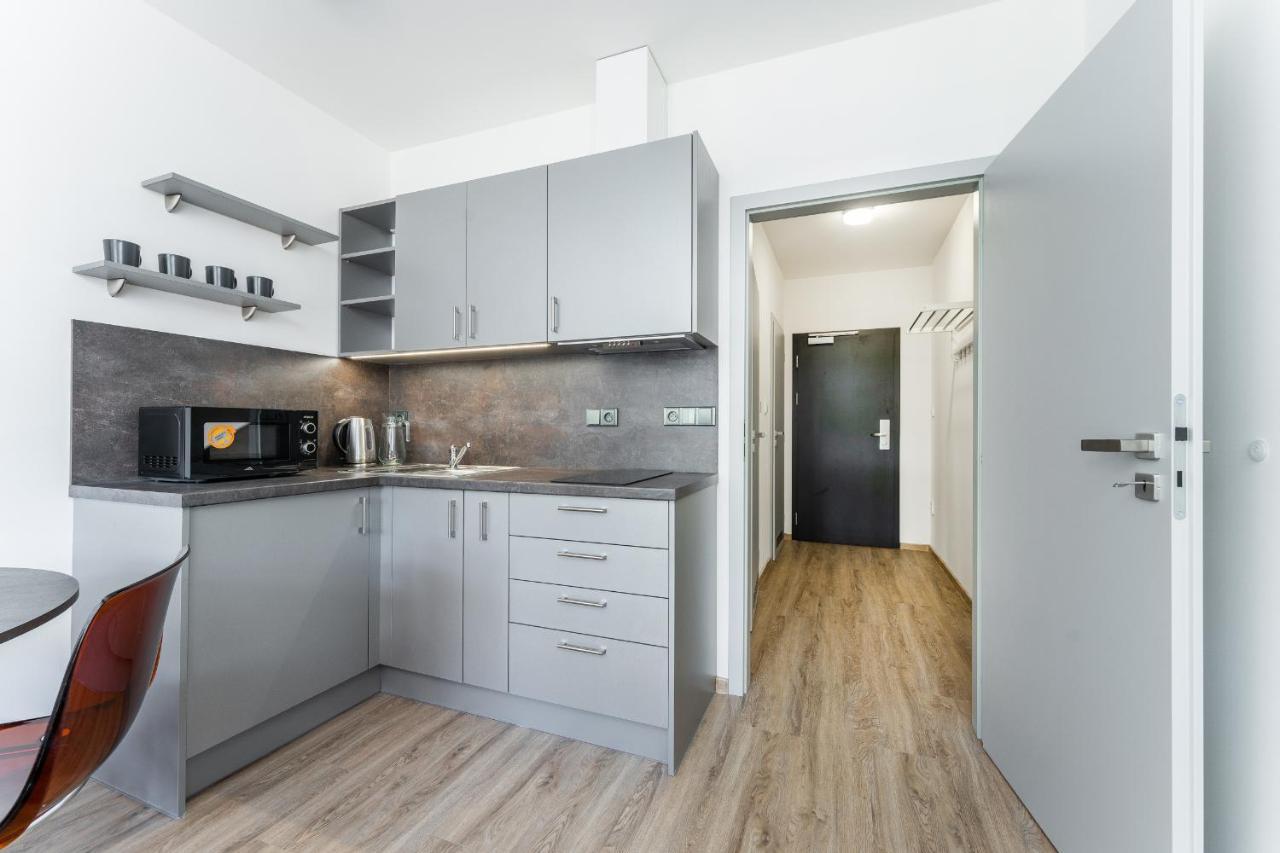 Apartman V Podebradech Poděbrady エクステリア 写真