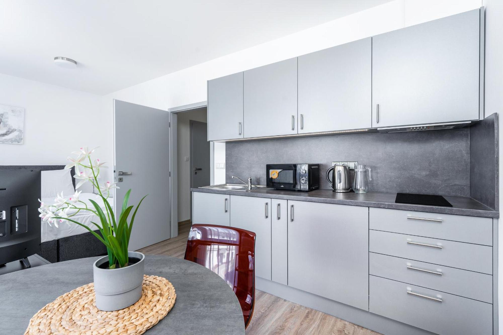 Apartman V Podebradech Poděbrady エクステリア 写真