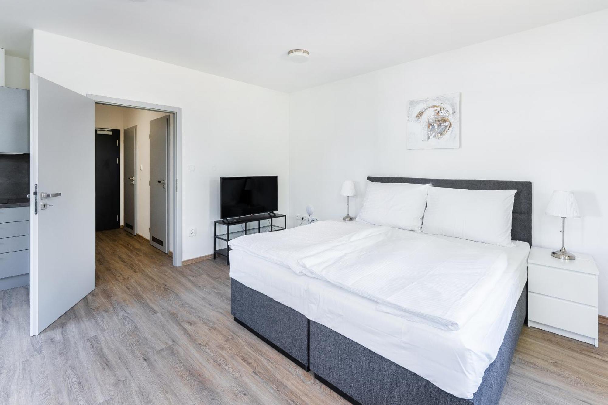 Apartman V Podebradech Poděbrady エクステリア 写真