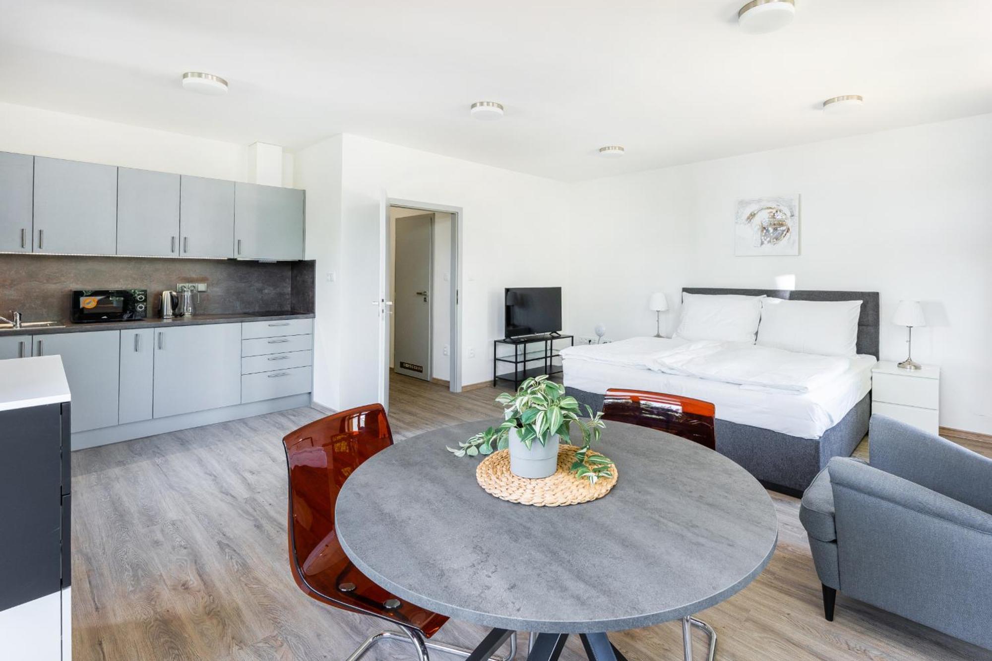 Apartman V Podebradech Poděbrady エクステリア 写真