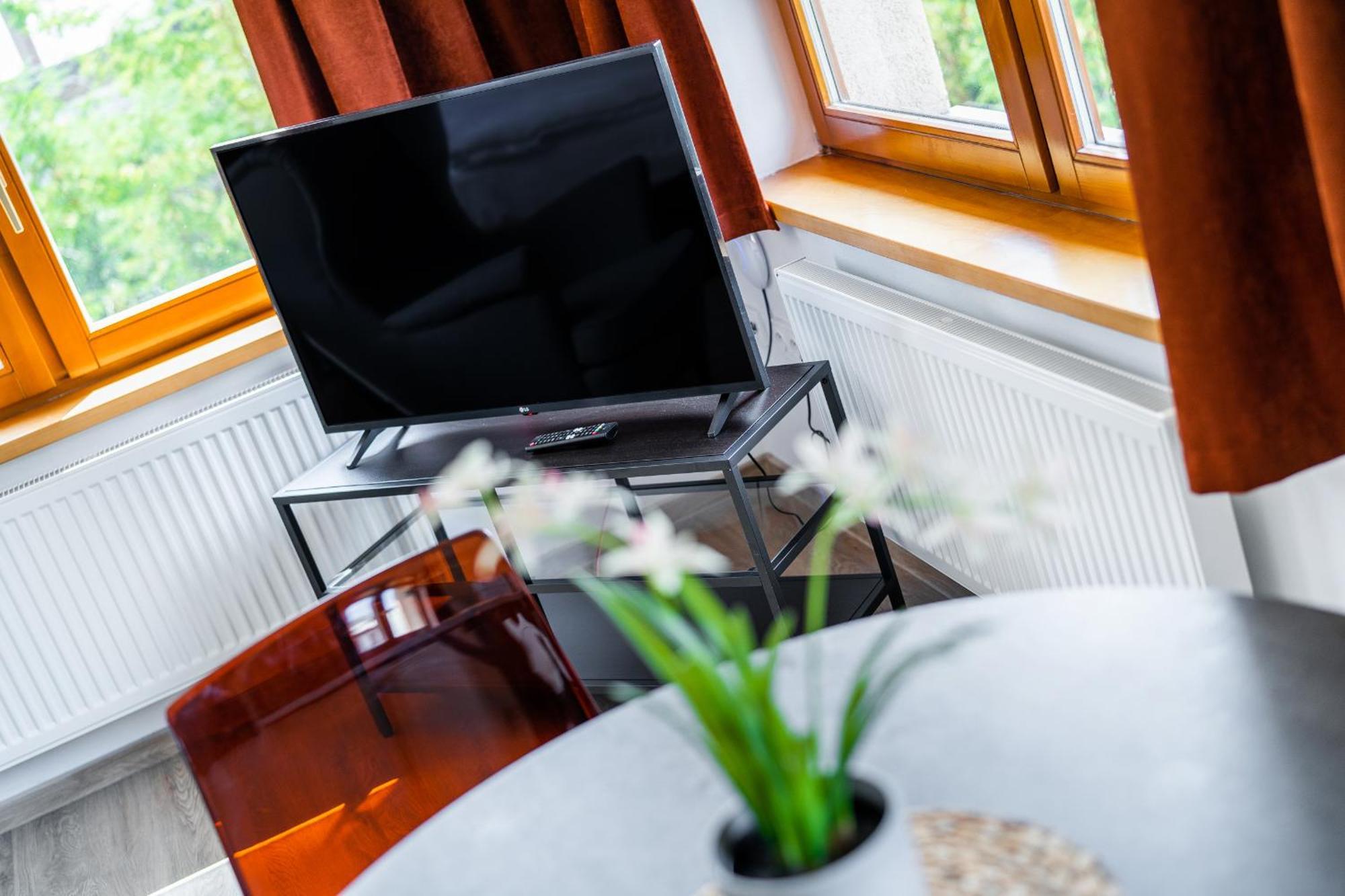 Apartman V Podebradech Poděbrady エクステリア 写真