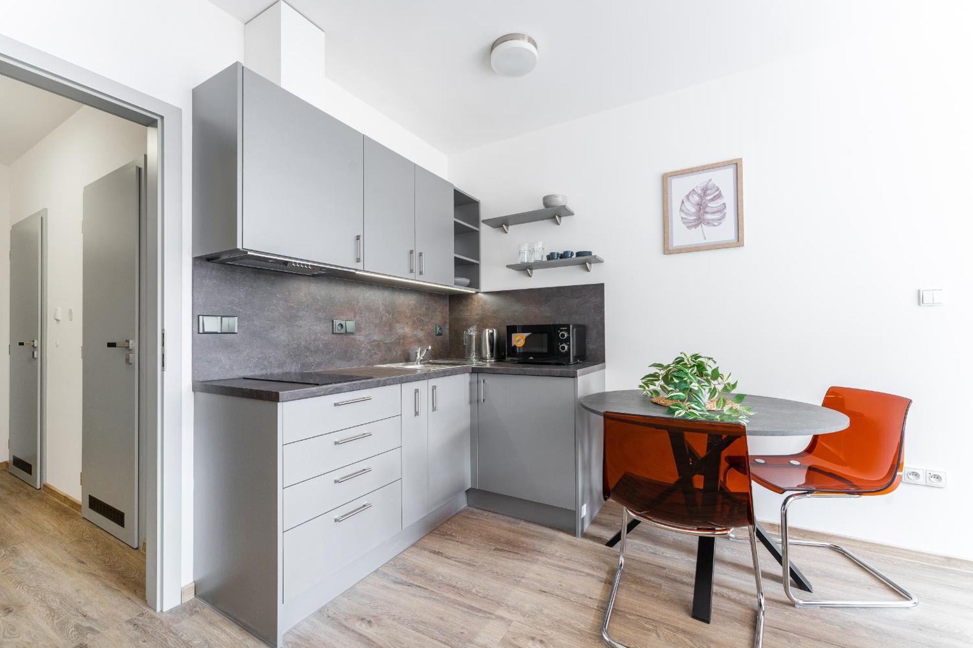Apartman V Podebradech Poděbrady エクステリア 写真