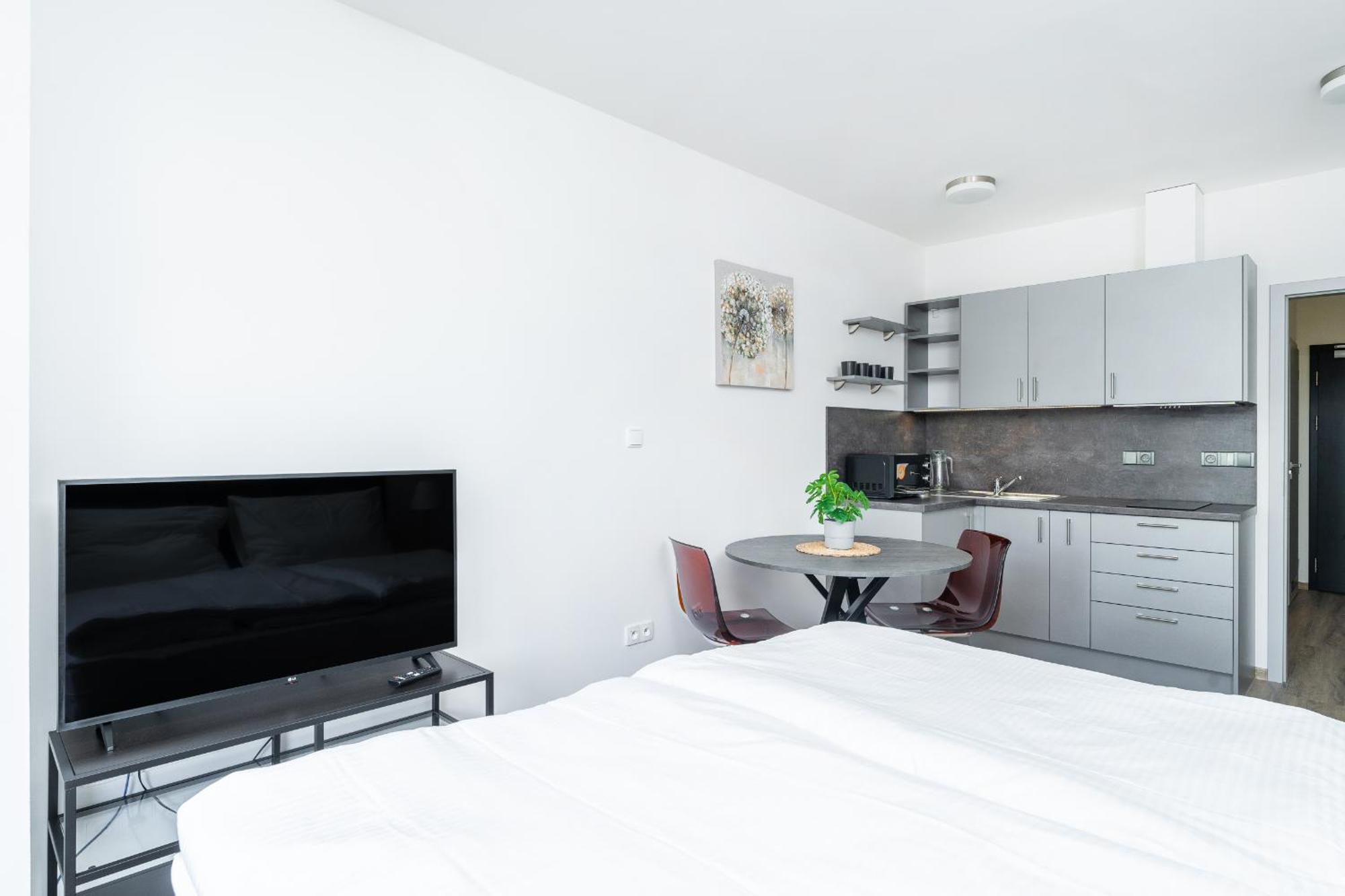 Apartman V Podebradech Poděbrady エクステリア 写真